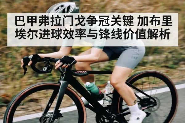 巴甲弗拉门戈争冠关键 加布里埃尔进球效率与锋线价值解析（c7）